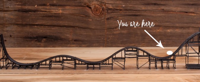 Transplant Roller Coaster