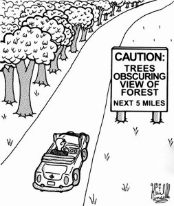 Caution: Trees obscuring view of forest next 5 miles.